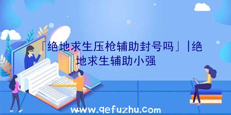 「绝地求生压枪辅助封号吗」|绝地求生辅助小强